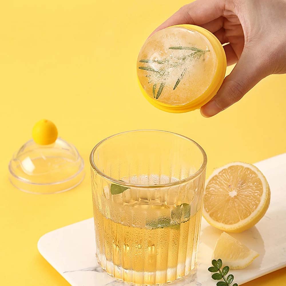 Ice Cube Mould 6