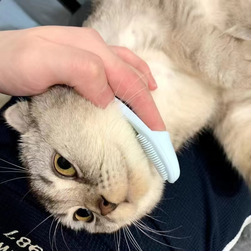 Cat Cleaning Black Chin Brush 4