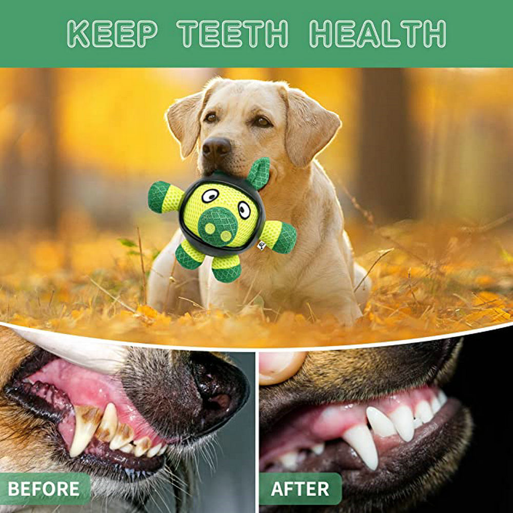 Interactive Dog Toys Durable Interactive Pig Dog Chew Toys With Rubber Helmet Suitable For All Types Of Dogs 5