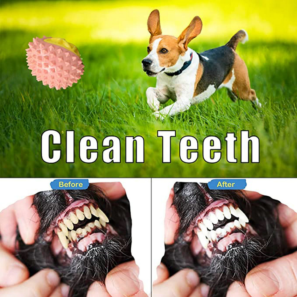  Indestructible Tough Durable Dog Toys Dog Chew Toys For Medium Large Dogs 3