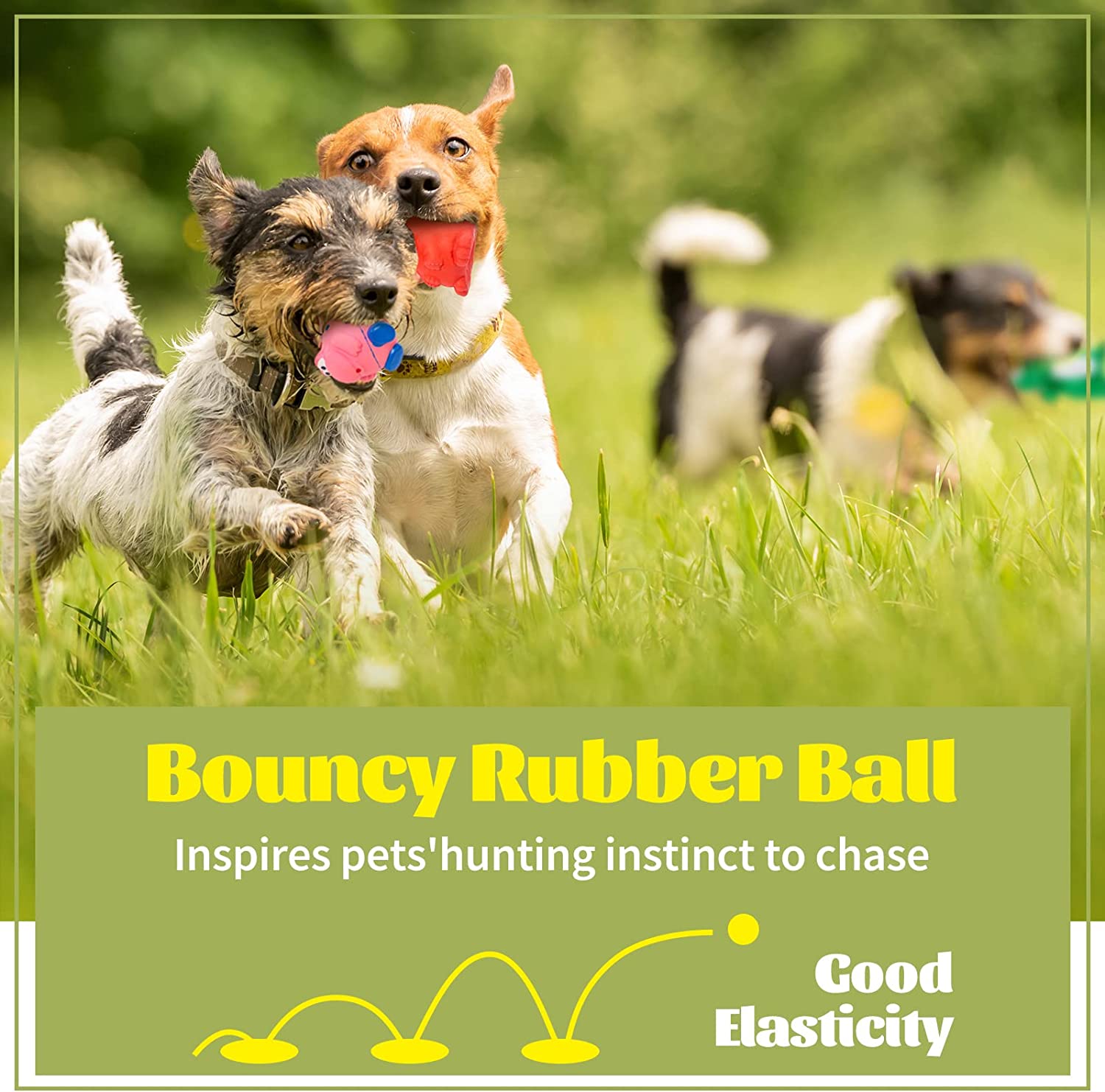 8 Pcs Squeaky Dog Toys Latex Rubber Dog Squeaky Toys Puppy 5