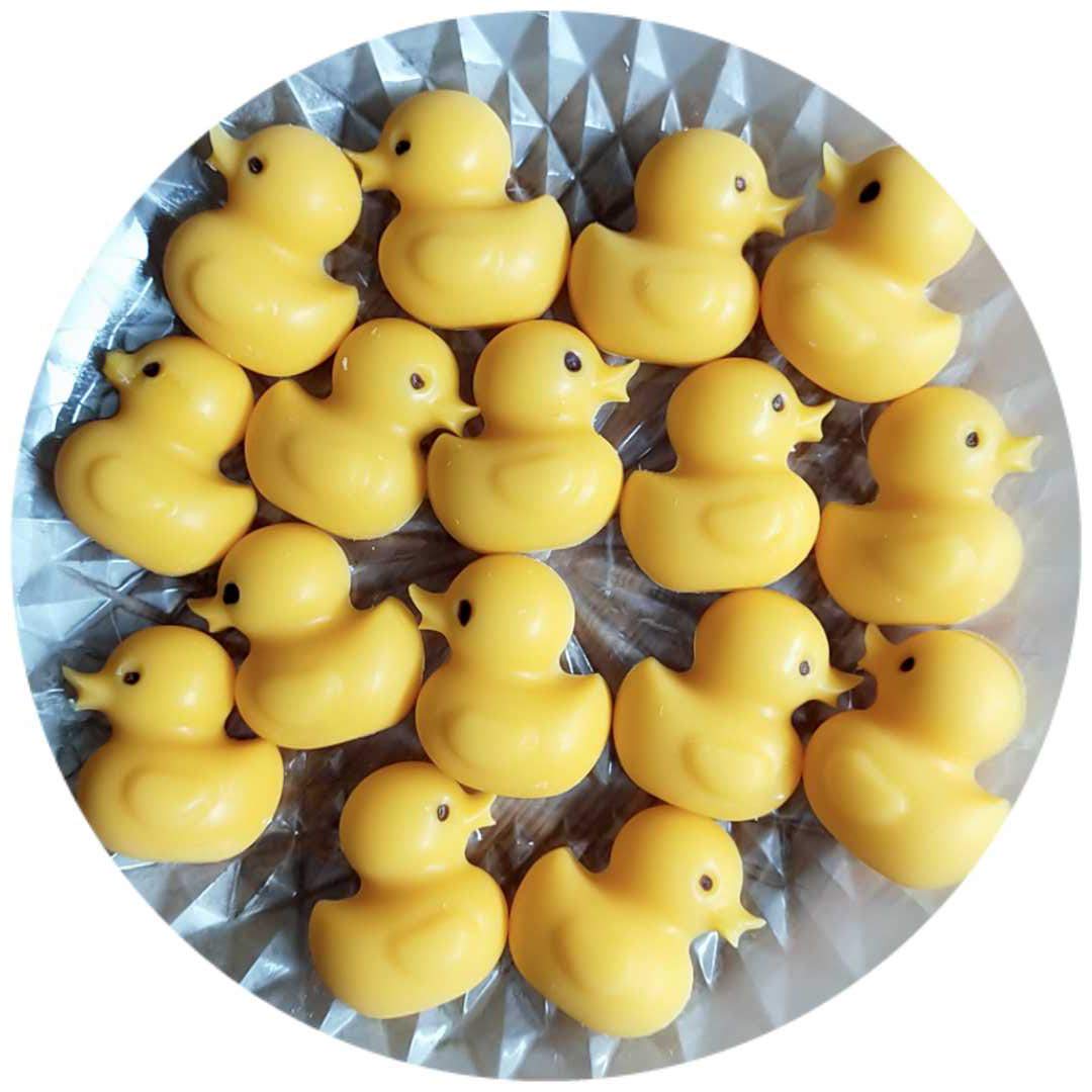 Rubber Duck Candy Molds 2