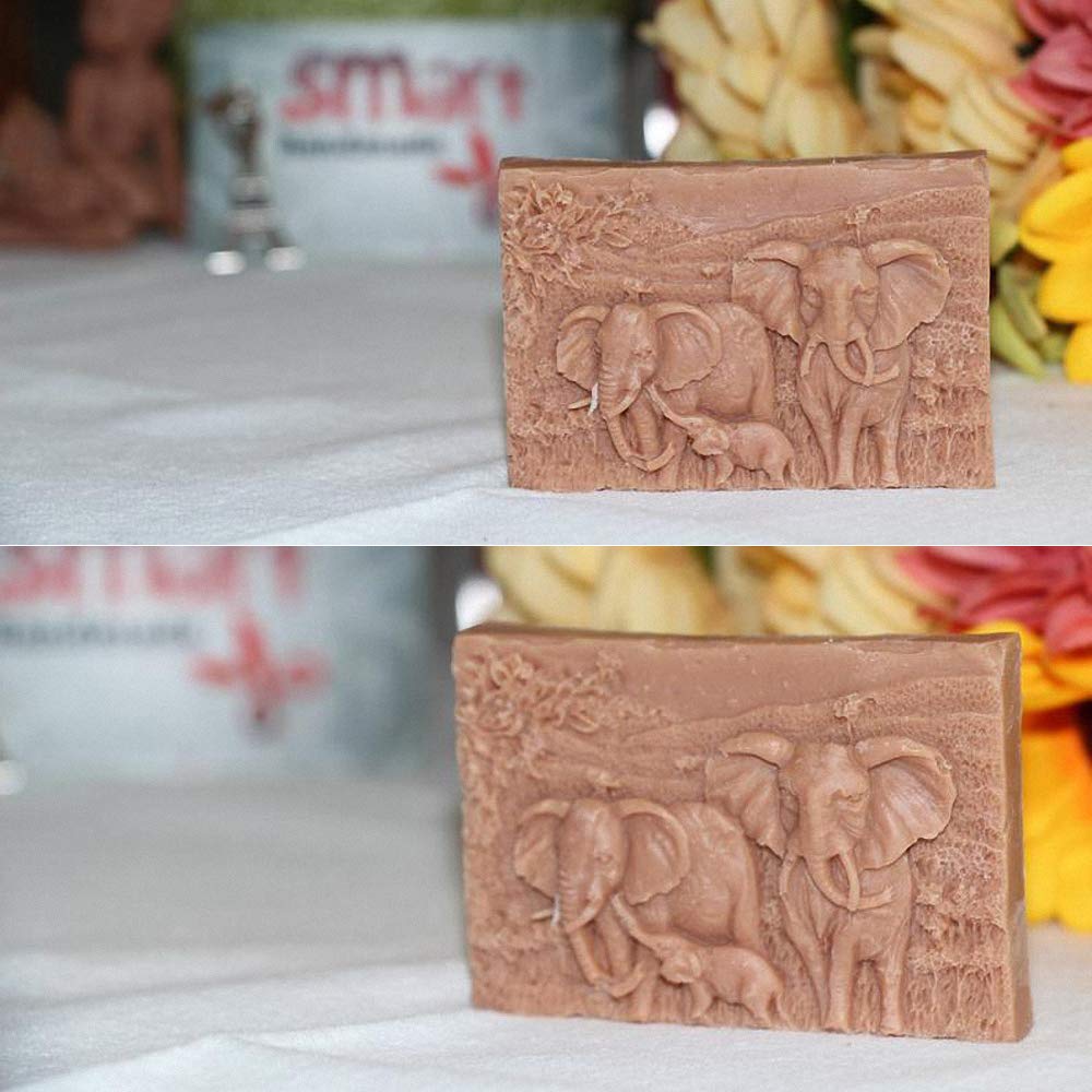 Elephant Family Soap Mold 4