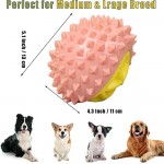  Indestructible Tough Durable Dog Toys Dog Chew Toys For Medium Large Dogs