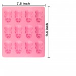 Piggy Baking Mold